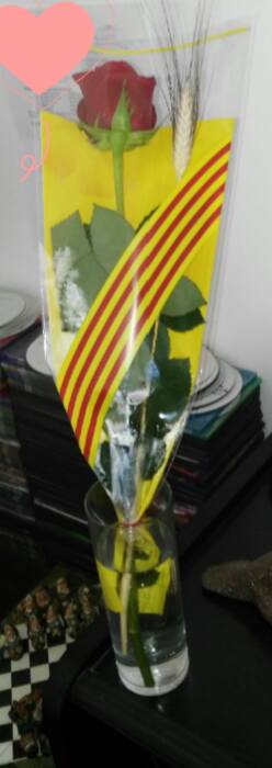 13010669_1320402234642874_1967639471536338096_n (1)