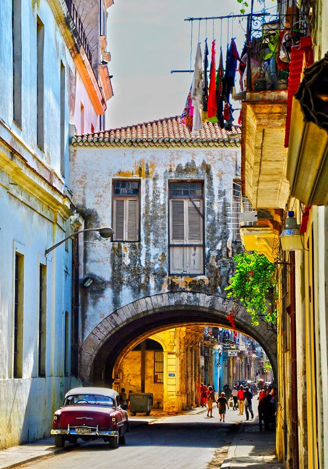 13391008_10209515499146715_244935686_n