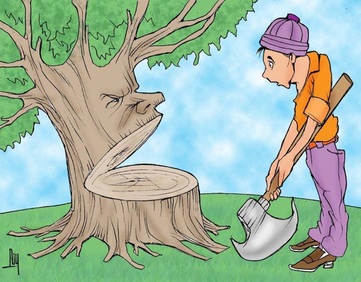 16237236_1220897214614346_265847014_n