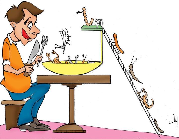 16809970_1251644378206296_432297610_n