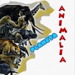 17190767_1458790054163474_3694532912072375249_n