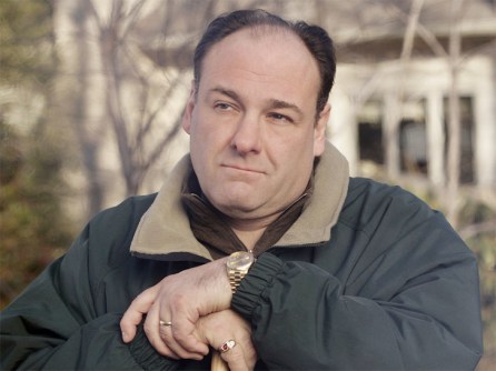 James-Gandolfini-gog