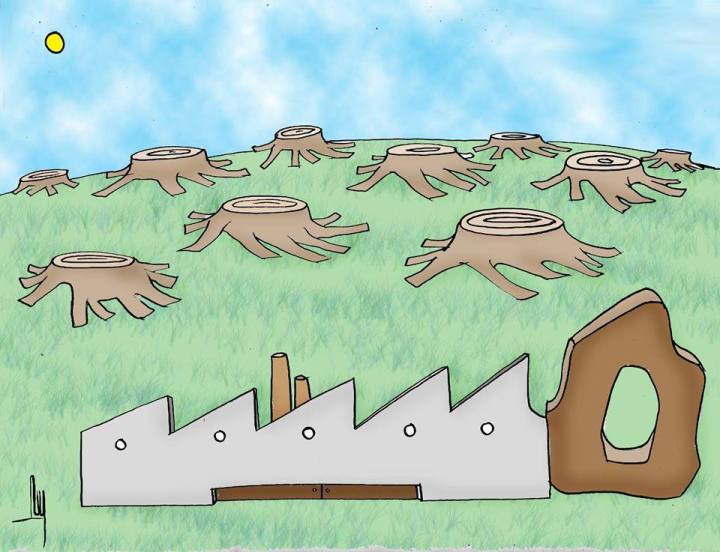 24337315_1519434511427280_2039741990_n