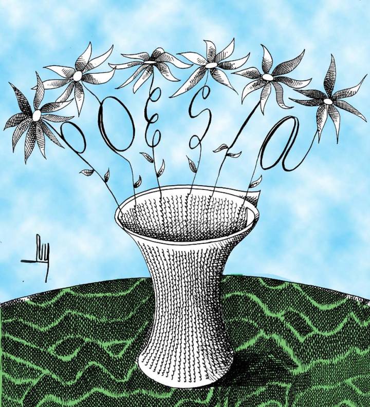 29550586_1628056940565036_361127129_n