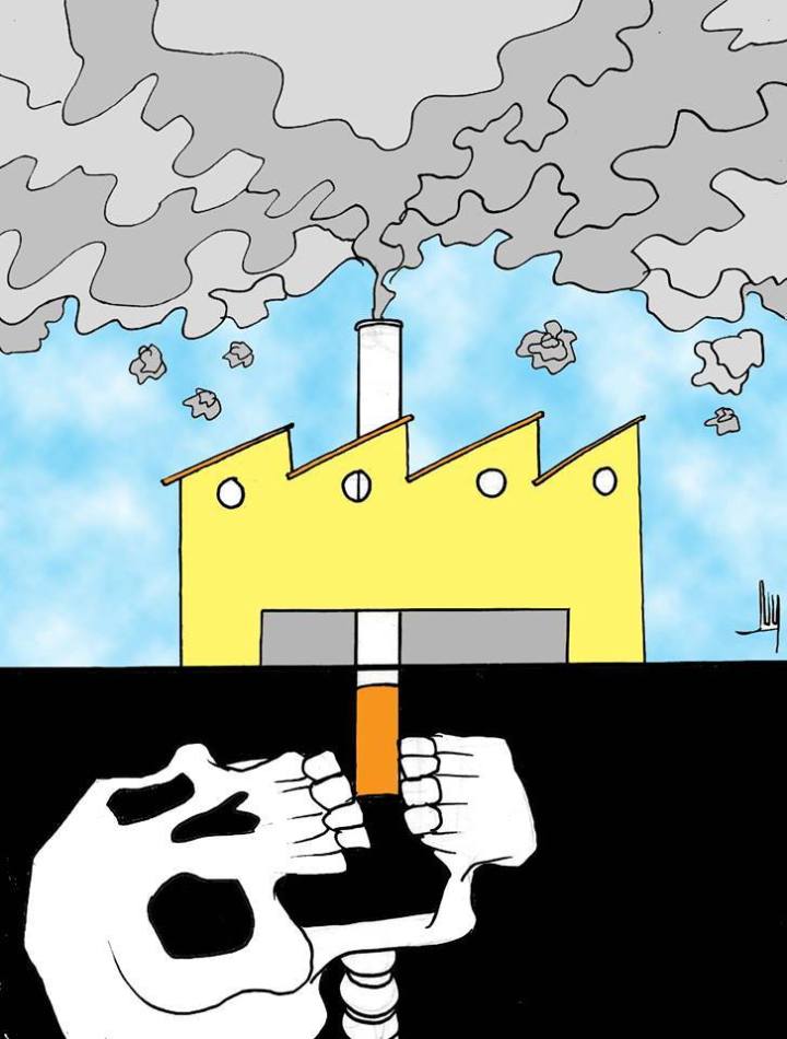 35428335_1709501289087267_4687587960382554112_n